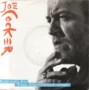 Joe Cocker - Living In The Promiseland
