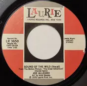 Joe Allegro - Sound Of The Wild