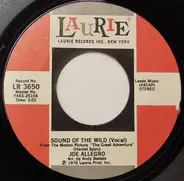 Joe Allegro - Sound Of The Wild