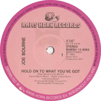Joe Bourne - Hold On To What You've Got