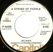 Joe Bob's Nashville Sound Company