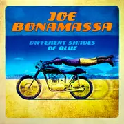 LP & MP3 - Joe Bonamassa - Different Shades Of Blue
