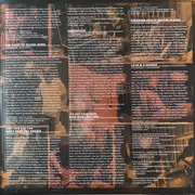 Double LP - Joe Bonamassa - Redemption