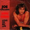 7inch Vinyl Single - Joe Galushi - Love Of My Life