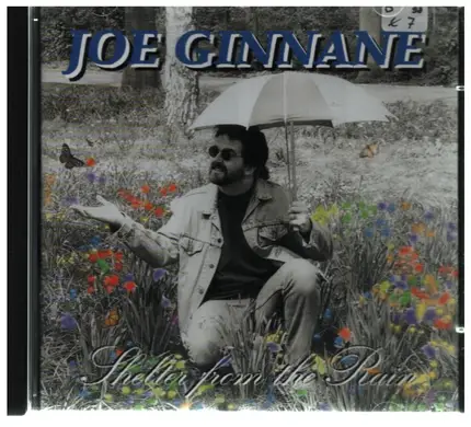 Joe Ginnane - Shelter from the Rain