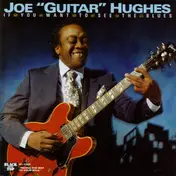Joe "Guitar" Hughes - If You Want To See The Blues