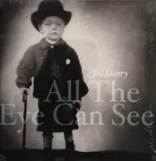 Double LP - Joe Henry - All The Eye Can See