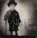 Double LP - Joe Henry - All The Eye Can See