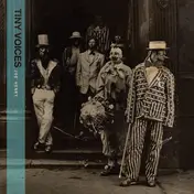 Joe Henry - Tiny Voices