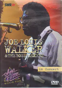 Joe Louis Walker - In Concert