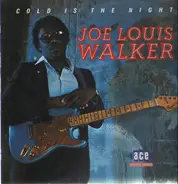 Joe Louis Walker - Cold Is the Night