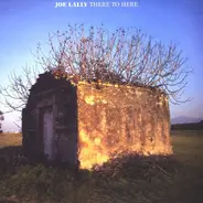 Joe Lally - There to Here