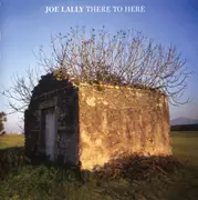 CD - Joe Lally - There To Here