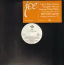 12inch Vinyl Single - Joe - Let's Stay Home Tonight Remix