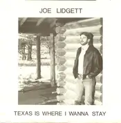 Log Casino Enterprises