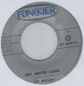 Joe Melson - Hey, Mister Cupid
