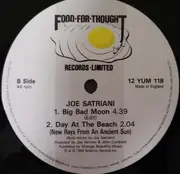 12inch Vinyl Single - Joe Satriani - Big Bad Moon