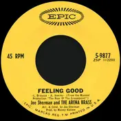 Joe Sherman - Feeling Good