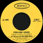 Joe Sherman & The Arena Brass - Feeling Good