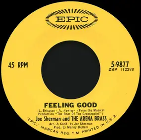 Joe Sherman - Feeling Good