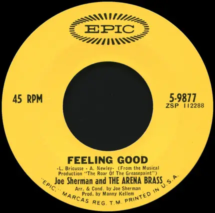 Joe Sherman & The Arena Brass - Feeling Good