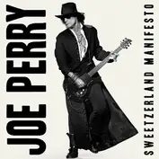 Joe Perry