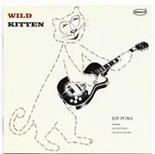 Joe Puma - Wild Kitten