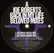 12inch Vinyl Single - Joe Roberts - Back In My Life (Remix)