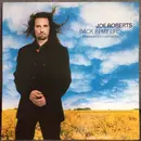 12inch Vinyl Single - Joe Roberts - Back In My Life