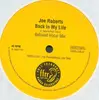 LP - Joe Roberts - Back In My Life (Remix)