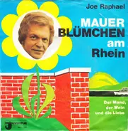 Joe Raphael - Mauerblümchen Am Rhein