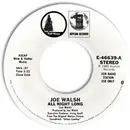 7inch Vinyl Single - Joe Walsh - All Night Long