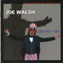 Double CD - Joe Walsh - Look What I Did! - The Joe Walsh Anthology