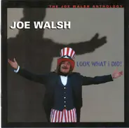 Joe Walsh - Look What I Did! - The Joe Walsh Anthology