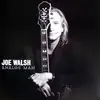 LP - Joe Walsh - Analog Man