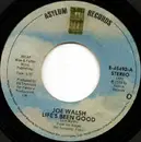 7inch Vinyl Single - Joe Walsh - Life's Been Good