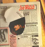 LP - Joe Walsh - Pop Gold