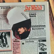 LP - Joe Walsh - Pop Gold