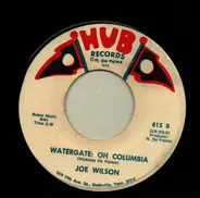 Joe Wilson - Watergate: Oh Columbia