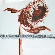 Joe T. Vannelli Project Feat. Vlynn