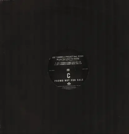 Joe T. Vannelli Project Feat. Vlynn - Do You Feel What I'm Feeling