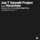 12inch Vinyl Single - Joe T. Vannelli Project feat. Harambee - Sweetest Day Of May (Knee Deep Rmx)