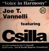 2 x 12inch Vinyl Single - Joe T. Vannelli - Voice in Harmony