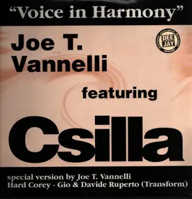 Joe T. Vannelli - Voice in Harmony