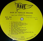 LP - Joe Timmer - Back By Popular Demand
