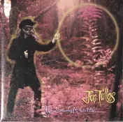 Joe Tullos - The Scoundrel's Waltz