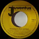 7inch Vinyl Single - Joe Und Die Schunkelboys - Stimmung An Rhein Und Mosel