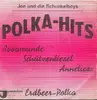 7inch Vinyl Single - Joe Und Die Schunkelboys - Polka-Hits