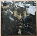 LP - Joe Volk + Naiare - Primitive Energetics
