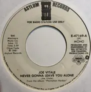 Joe Vitale - Never Going To Leave You Alone